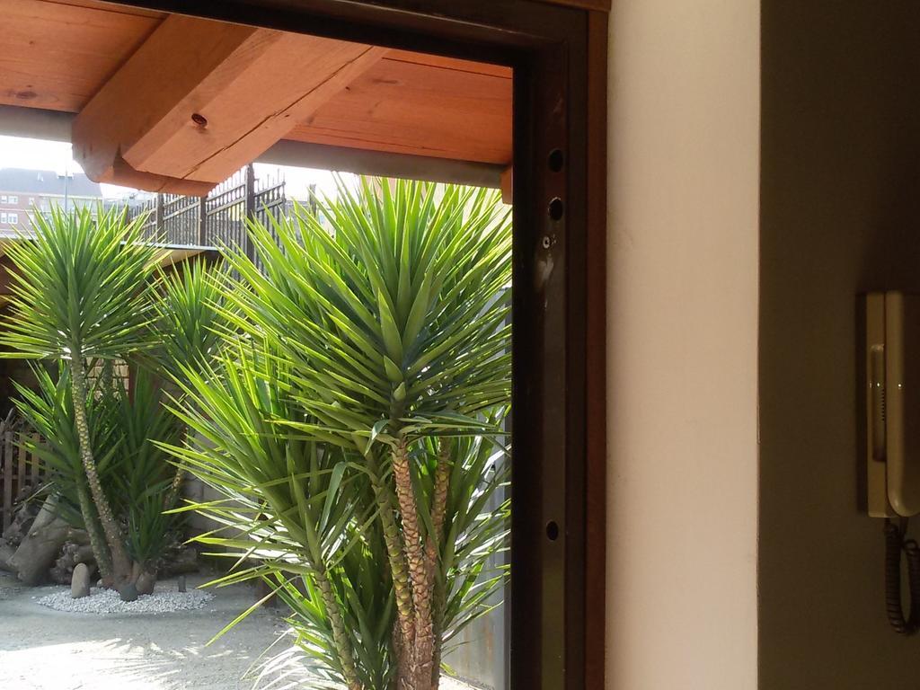 Il Principe Ranocchio Bed & Breakfast Roma